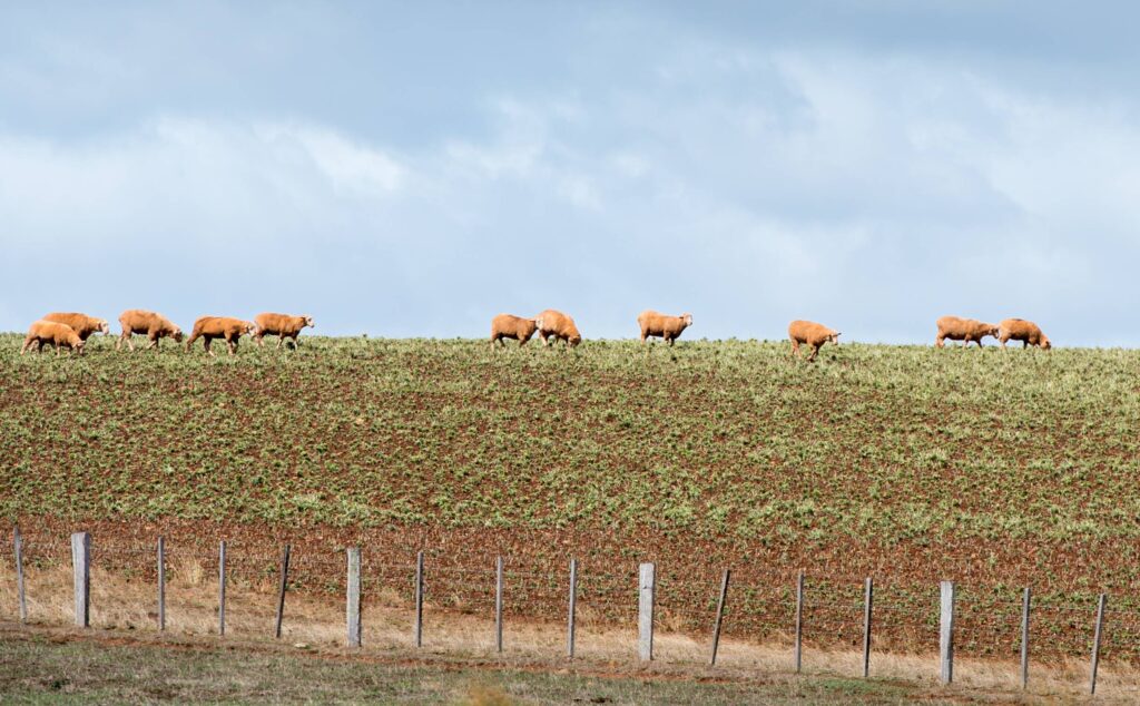 Farmland succession planning