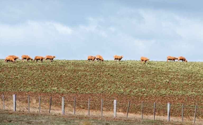 Farmland succession planning